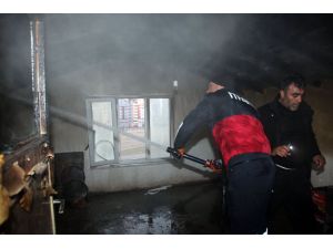 Şarkışla'dan kısa kısa