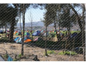 Avrupa'daki sığınmacı krizi