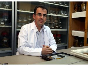 "Bitkilerin endemik özelliği biyokaçakçılıkla yok oluyor"