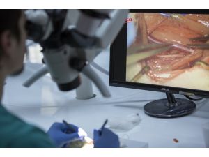 GATA'da mikrocerrahi eğitimi