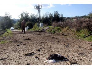 Yayladağı'nda boş araziye 3 havan mermisi düştü
