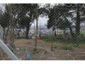 Avrupa'daki sığınmacı krizi