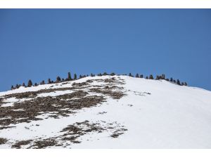 Van'da 2 bin 700 rakımlı tepede tarihi yapı izi