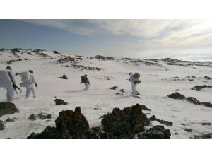 Ağrı'da terör operasyonu