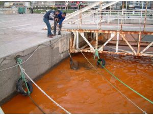 Bandırma'da deniz kırmızıya döndü