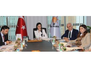 AK Parti'de "Çevre Politikaları Çalıştayı"
