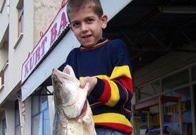 Balıkçılara 'boy tahdidi' uyarısı