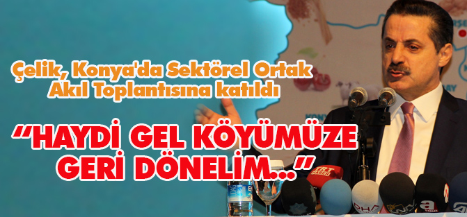 Çelik, Konya'da Sektörel Ortak Akıl Toplantısına katıldı
