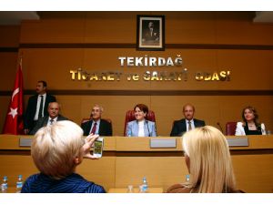 Eski MHP Milletvekili Akşener: