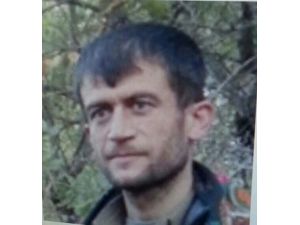 GÜNCELLEME 2 - Sur'da 8 terörist etkisiz hale getirildi