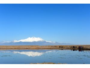 Sultansazlığı'na fotoğrafçı akını