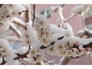 Yozgat'ta kar yağışı