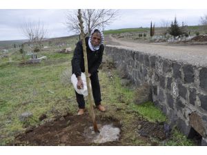 Kestiği bir ağaç için 30 fidan dikecek