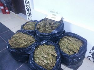 Şanlıurfa'da uyuşturucu operasyonu