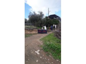 Hatay'da kardeş kavgası: 1 ölü, 1 yaralı