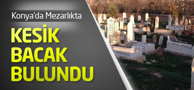 Konya'da Mezarlıkta Kesik Bacak Bulundu