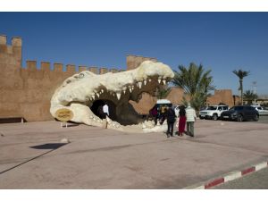 Fas'ın ilk timsah parkı