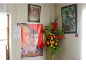 GÜNCELLEME - Van'daki terör operasyonu