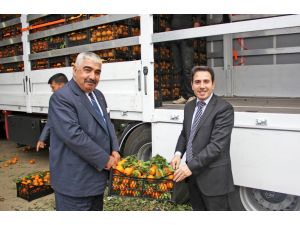 Kozan'dan Şırnak'taki güvenlik güçlerine 26,5 ton meyve