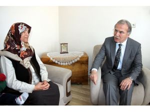 AK Parti Genel Başkan Yardımcısı Şahin: