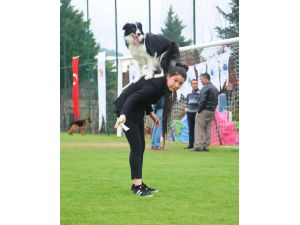 Antalya'da Ulusal Irk Standartları Yarışması