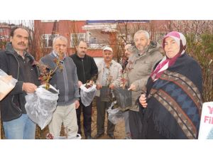 Şehit yakınlarına fidan hediye edildi