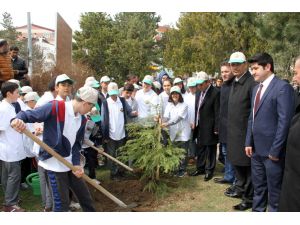 21 Mart Dünya Ormancılık Günü
