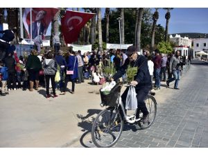 21 Mart Dünya Ormancılık Günü