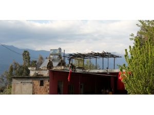 Nusaybin'deki terör operasyonu