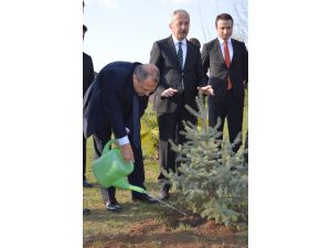 Zonguldak Valisi Kaban: