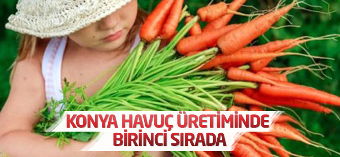 Konya Havuç Üretiminde Birinci Sırada