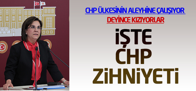CHP Eskişehir Milletvekili Gaye Usluer'den ihanet tweeti