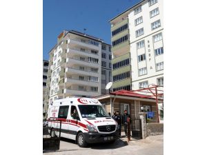 Nusaybin'deki terör operasyonu