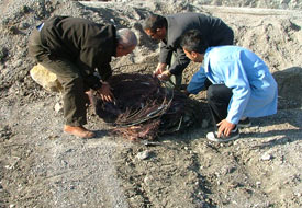Trafo kabloları çalındı