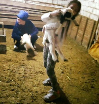 Mehtap hanım kızıyla çiftlikte