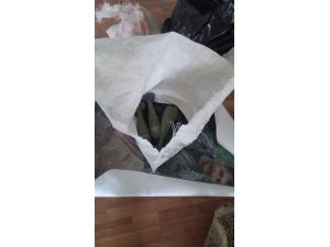 PKK'nın Yüksekova'daki "patlayıcı imalathanesi" imha edildi