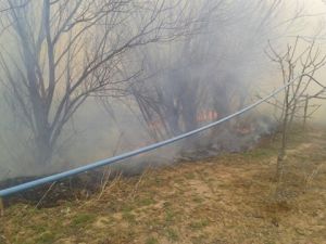 Sarıoğlan'da arazi yangını