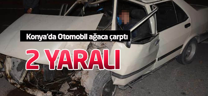 Otomobil ağaca çarptı: 2 yaralı