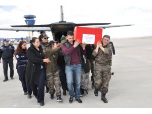 Şırnak'taki terör operasyonu