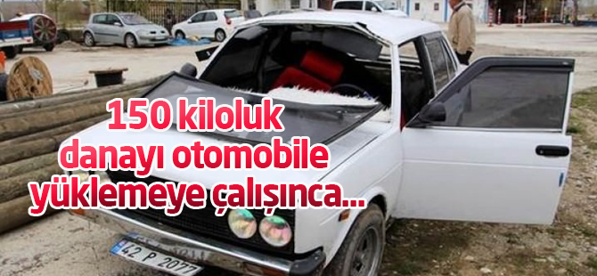 Dananın ağzını bağlayıp, başına çuval geçirdiler!