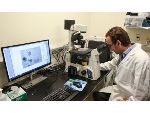 Türk bilim adamlarından bağırsak kanserine umut ışığı