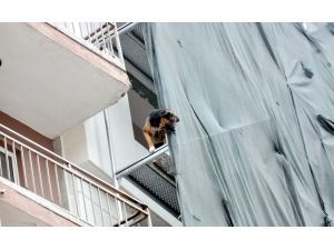 İnşaata çıkan sokak köpeklerini itfaiye kurtardı