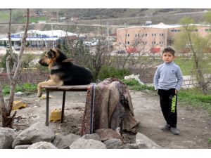 Minik Batuhan kaybolan kuzeninin bulunmasını istiyor