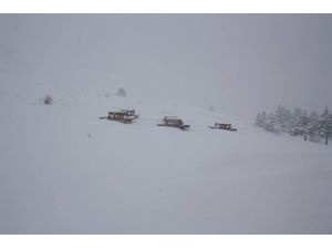 Derbent bembeyaz oldu