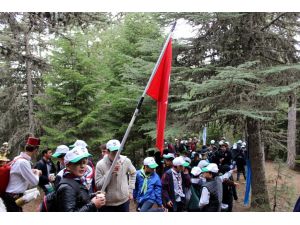 Bin 850 rakımda "ormanlar" için yürüdüler