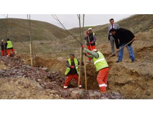 Çubuk’ta bin 500 fidan toprakla buluşturuldu