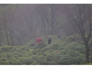 Rize'de otomobil uçuruma yuvarlandı: 1 ölü