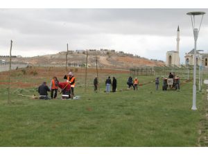 Kırşehir'den kısa kısa