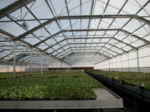 Nesli tehlikede olan flora türleri için yeni laboratuvar