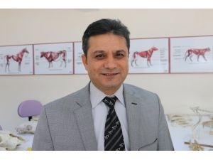 Ödevle oluşturulan laboratuvar bilime hizmet ediyor
